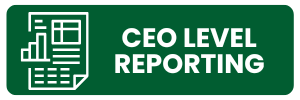 CEO LEVEL REPORT